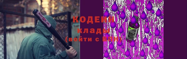 крисы Богородск