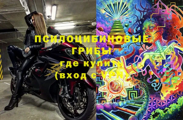 крисы Богородск