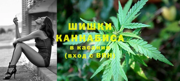 мескалин Богданович