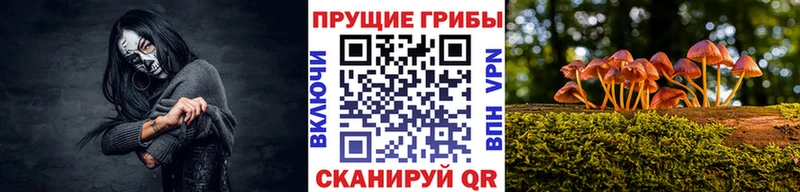 блэк спрут как войти  Казань  Псилоцибиновые грибы мухоморы 